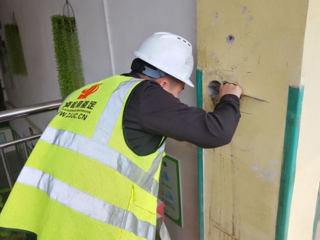 1689911785197968.jpg IMG_20230315_103159.jpg